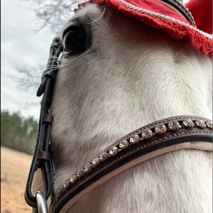 Meet your Posher, Savannah